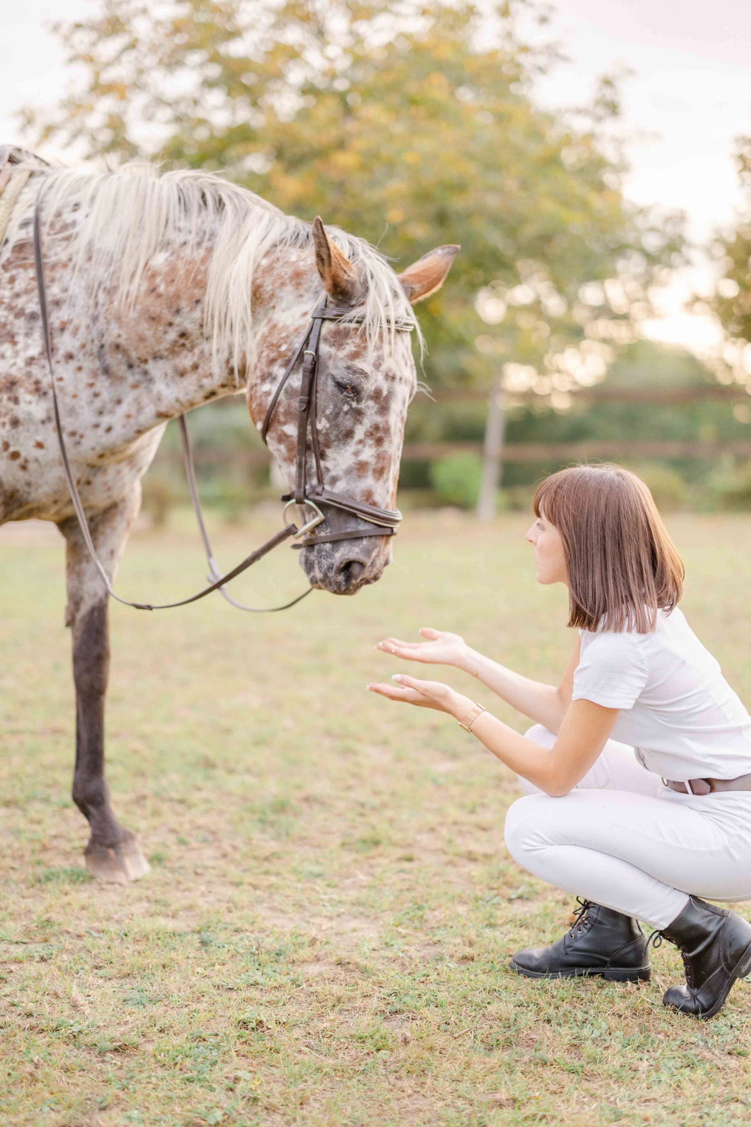 cheval bride beige gris nature